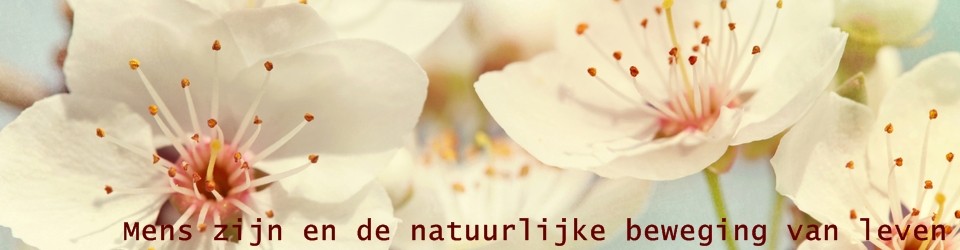 Energie in Ontwikkeling